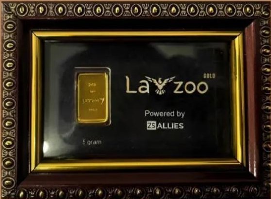 Framed LaYzoo gold coin